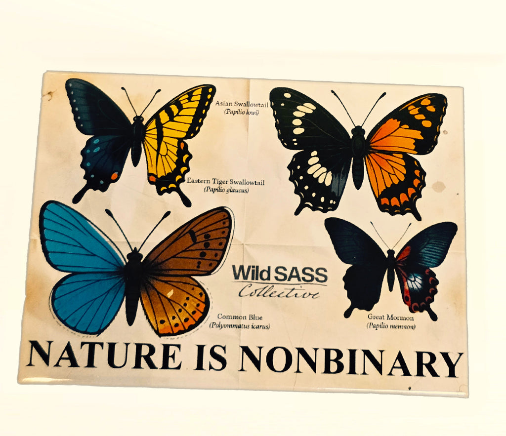 Nature is Nonbiary Magnet