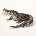 Gharial SASSy Species Vinyl Sticker
