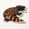 Gila Monster Middle Finger Club Vinyl Sticker