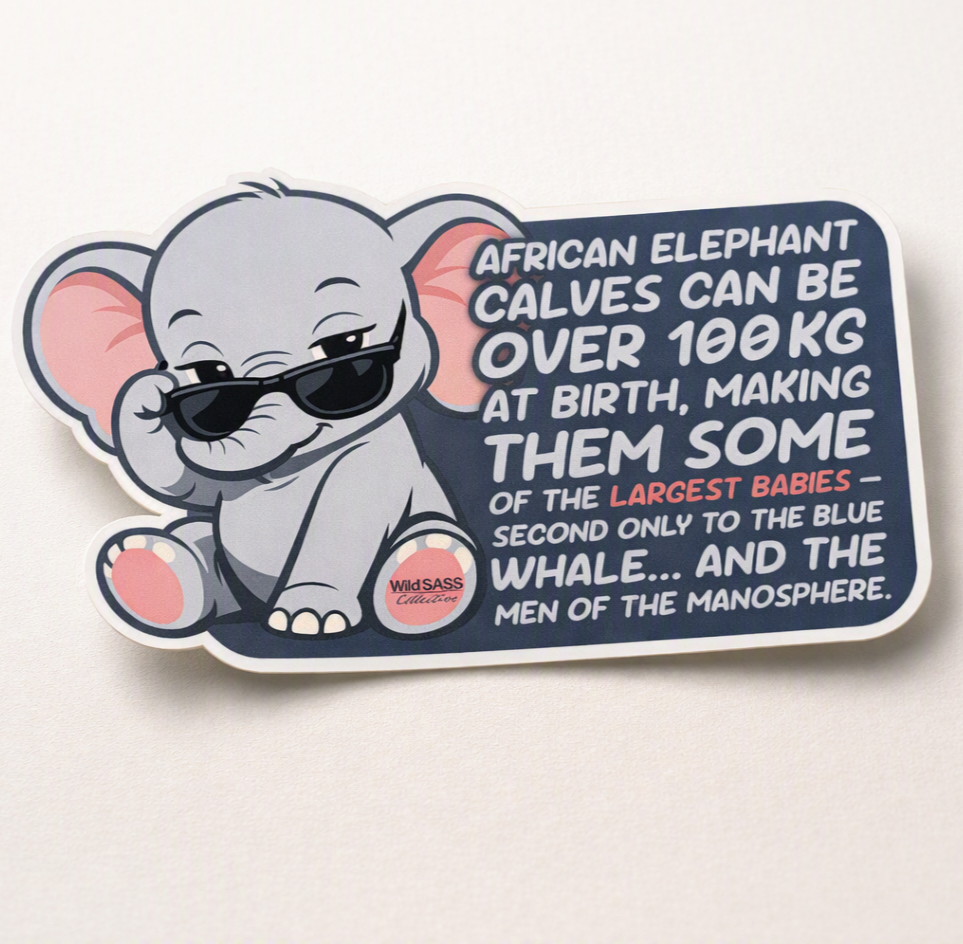 Biggest Babies x Elephant Vinyl Sticker
