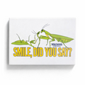 SMILE, did you say? Praying Mantis Magnet