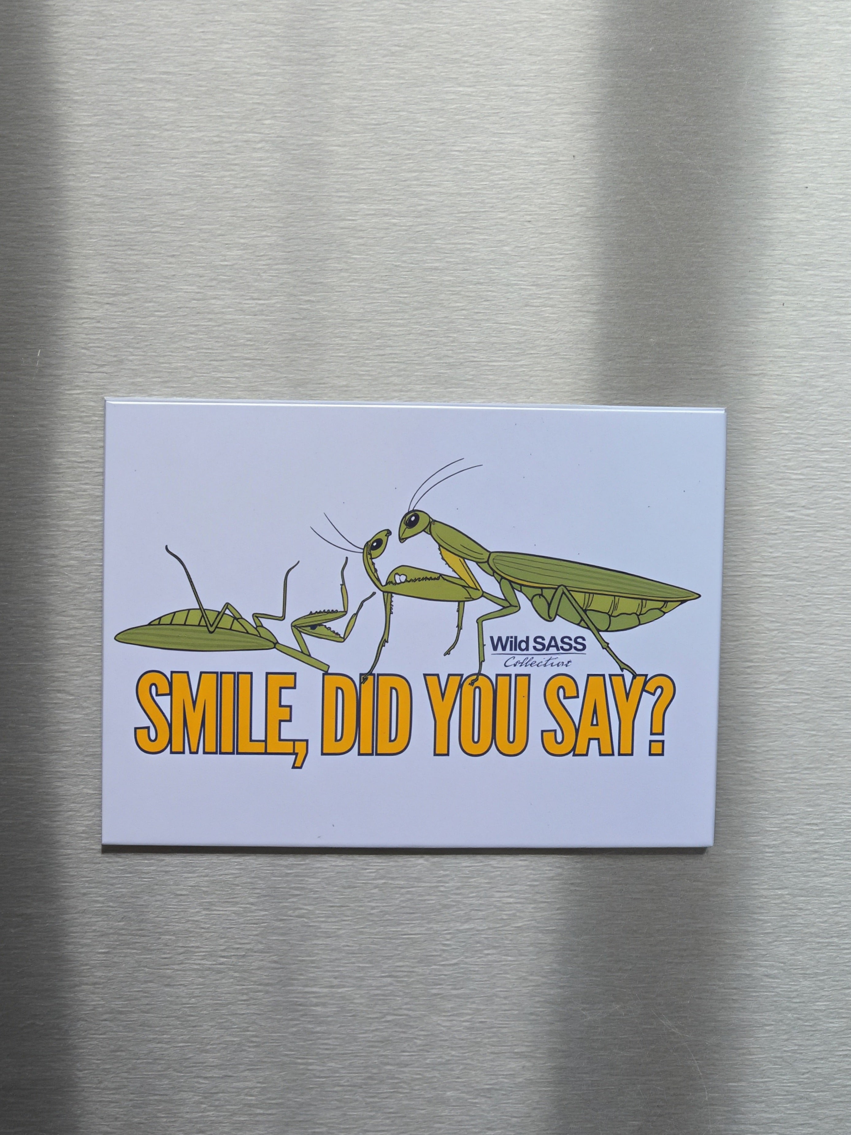 SMILE, Did you say? x Praying Mantis Magnet