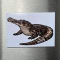Sunda Gharial x Magnet