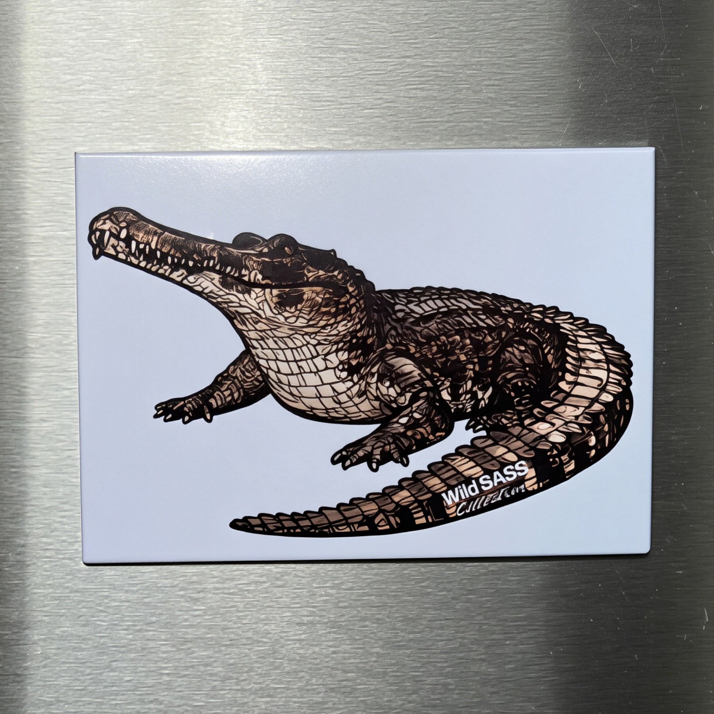 Sunda Gharial x Magnet